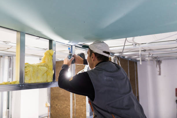 Best Energy Efficiency Insulation in Sault Ste Marie, MI