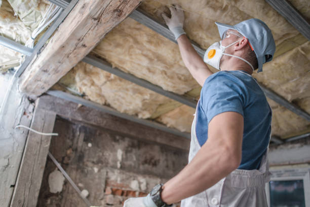 Best Insulation Maintenance and Repair in Sault Ste Marie, MI